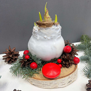 Луковица амариллиса в воске ( белая, с Новогодним декором / сруб дерева) 