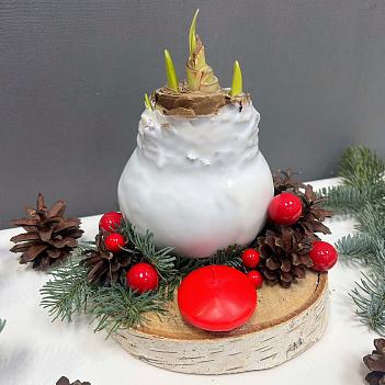 Луковица амариллиса в воске ( белая, с Новогодним декором / сруб дерева) 