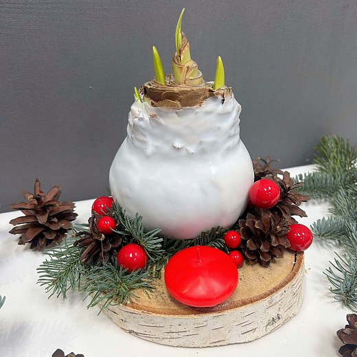 Луковица амариллиса в воске ( белая, с Новогодним декором / сруб дерева)  с доставкой в Москве