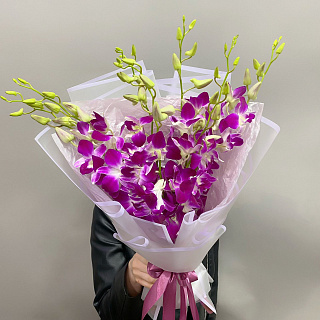Букет из розовой орхидеи дендробиум