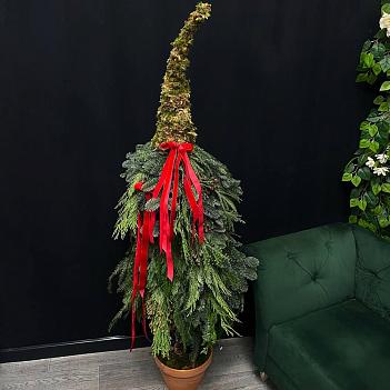 Авторская елка с микосм из хвои, мхом и красными, бархатными бантами