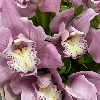 Букет из розовой орхидеи с эвкалиптом ( 7 шт)