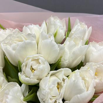 Букет из 15 белых пионовидных тюльпанов в розовой пленке