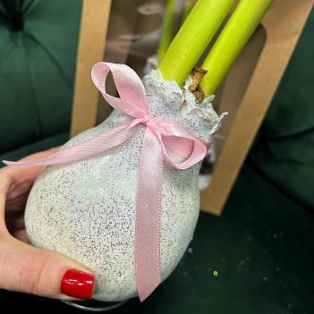 Луковица амариллиса в воске (белая с серебряными блёстками, большая) 