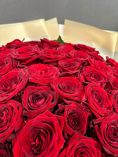 Букет из 51 красной розы в дизайнерской упаковке кремового цвета ( 50 см)