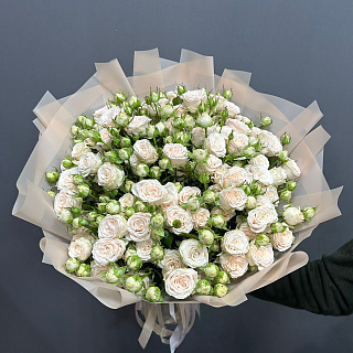 Букет из 19 кремовых пионовидных роз (70 см)