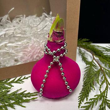 Луковица амариллиса в воске ( розовый бархат)+крафтовый пакет