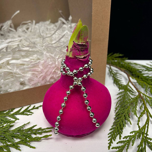 Луковица амариллиса в воске ( розовый бархат)+крафтовый пакет по лучшей цене в Москве Луковица амариллиса в воске ( розовый бархат)+крафтовый пакет с доставкой в Москве