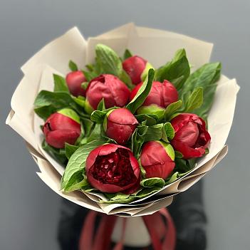 Монобукет из 9 бордовых пионов в матовой плёнке 
