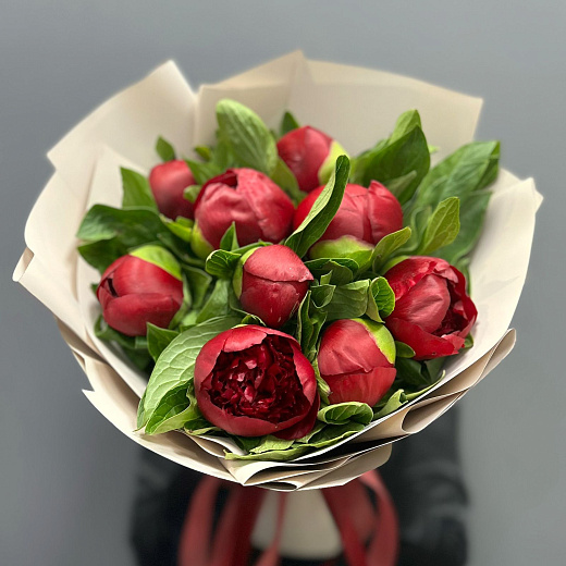 Монобукет из 9 бордовых пионов в матовой плёнке по лучшей цене в Москве Монобукет из 9 бордовых пионов в матовой плёнке с доставкой в Москве