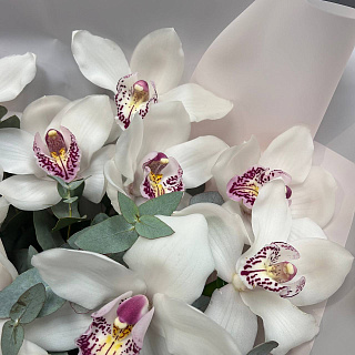 Монобукет  из белых х орхидей