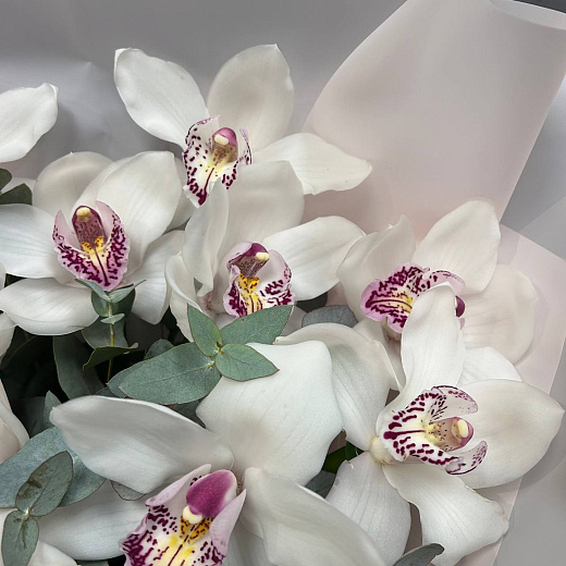 Монобукет из белых х орхидей по лучшей цене в Москве Монобукет из белых х орхидей с доставкой в Москве
