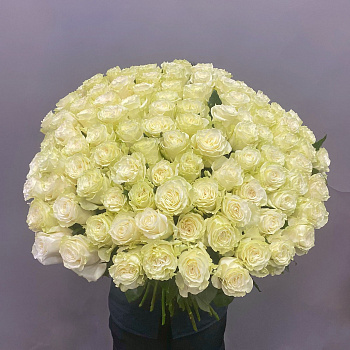 Букет из 99 Эквадорских роз ( 70 см)
