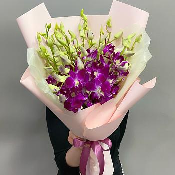 Букет из ярко-малиновой орхидеи 
