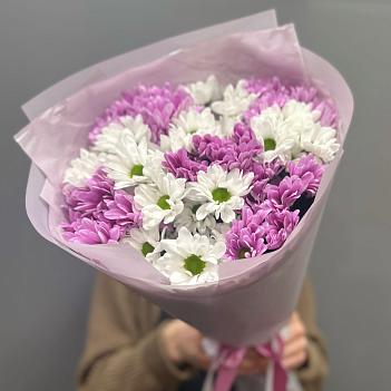 Микс с из бело-сиреневых кустовых хризантем (9 шт)