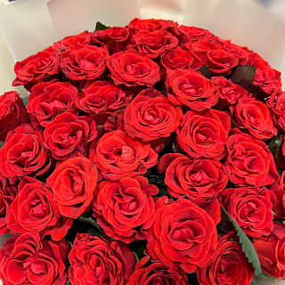 Букет из 51 розы Эль Торро ( 50 см)