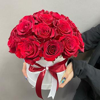 Букет из красных Эквадорских роз в белой коробке ( 25 шт)