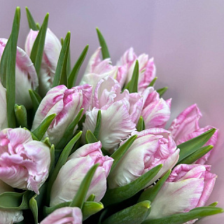 Букет из 15 розовых сортовых тюльпанов в розовом фоамиране