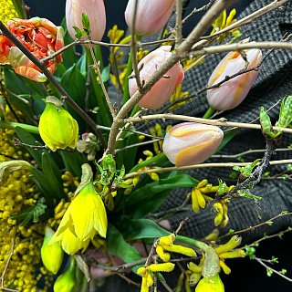 Садовый микс с мимозой и французскими тюльпанами