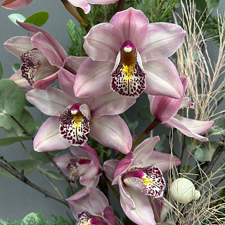 Интерьерная композиция с веткой орхидеи в стеклянной вазе