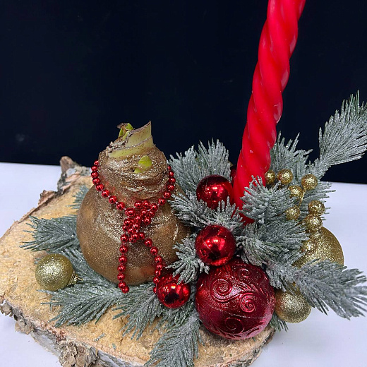 Луковица амариллиса в воске ( золотая, с Новогодним декором и красной свечой / сруб дерева) по лучшей цене в Москве Луковица амариллиса в воске ( золотая, с Новогодним декором и красной свечой / сруб дерева) с доставкой в Москве