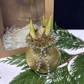 Луковица амариллиса в воске (золотые блестки)+крафтовый пакет