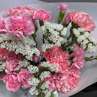 Микс из гвоздик и статицы