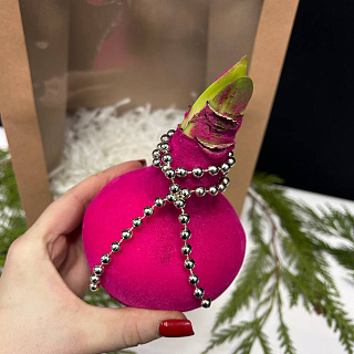 Луковица амариллиса в воске ( розовый бархат)+крафтовый пакет