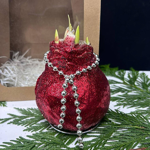 Луковица амариллиса в воске с вазой ( красные блёстки)+крафтовый пакет с доставкой в Москве