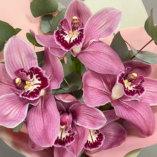 Букет из 5 розовых орхидеи и эвкалипта