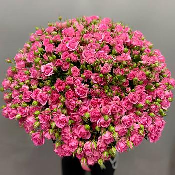Букет из 51 кустовой розы Пинк Деменшион ( 60 см)