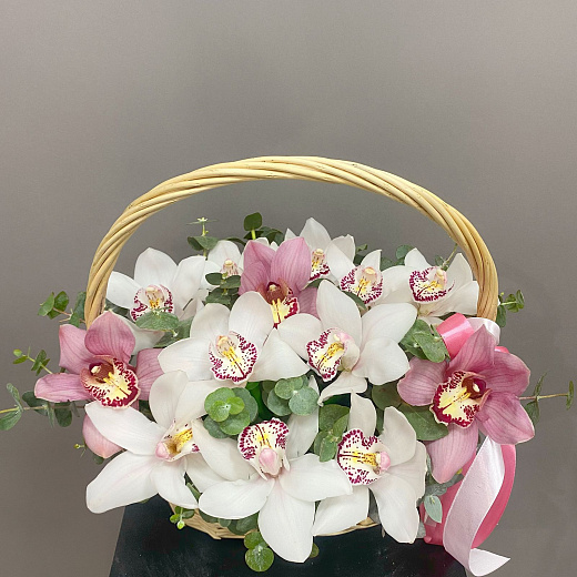 Букет из орхидей в корзине (13 шт)