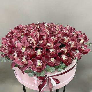 Букет из бордовых орхидей в розовой коробке