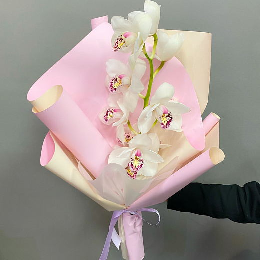 Ветка белой орхидеи в декоративной упаковке