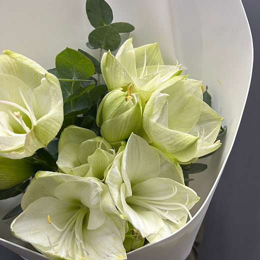 Букет из 3 белых амариллисов с эвкалиптом  с доставкой в Москве