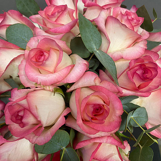 Букет из 19 роз Джумилия с эвкалиптом в розовой коробке