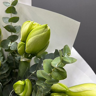 Монобукет из 9 белых амариллисов с эвкалиптом 