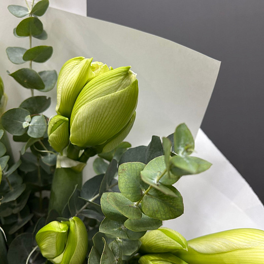 Монобукет из 9 белых амариллисов с эвкалиптом по лучшей цене в Москве Монобукет из 9 белых амариллисов с эвкалиптом с доставкой в Москве