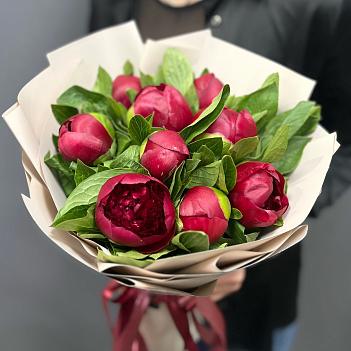 Монобукет из 9 бордовых пионов в матовой плёнке 