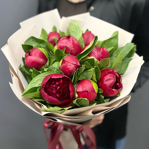 Монобукет из 9 бордовых пионов в матовой плёнке по лучшей цене в Москве Монобукет из 9 бордовых пионов в матовой плёнке с доставкой в Москве