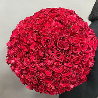 Букет из 149 красных Эквадорских роз ( 70 см)