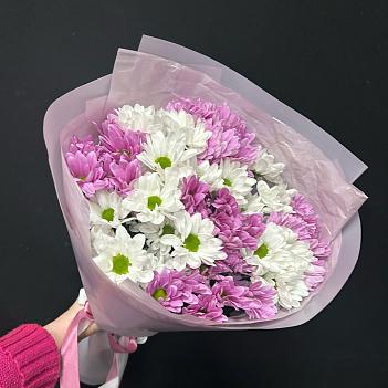Микс с из бело-сиреневых кустовых хризантем (9 шт)