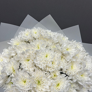 Букет из 9 белых кустовых хризантем в белой пленке