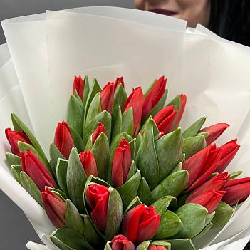 Букет из 25 красных тюльпанов в белой пленке Букет из 25 красных тюльпанов в белой пленке