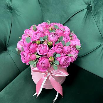 Пионовидные розы Мисти Баблз и эвкалипт в розовой коробке