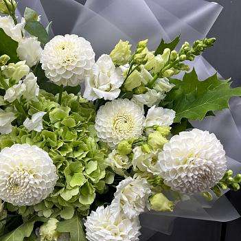 Микс букет из белоснежных сезонных георгин, гортензий и антирринумоы 