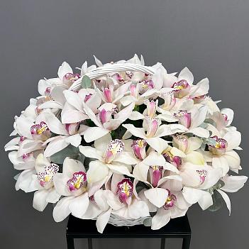Композиция из 45 белых орхидей в корзине 