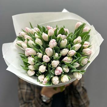 Букет из 49 пионовидных тюльпанов Фокстрот в белом крафте