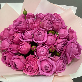 Букет  из из розовых пионовидных роз Мисти Баблз (9 шт)