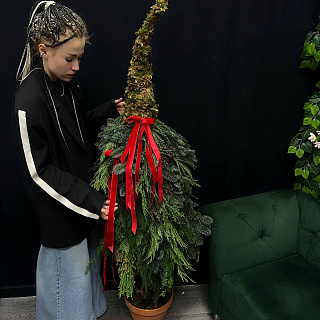 Авторская елка с микосм из хвои, мхом и красными, бархатными бантами